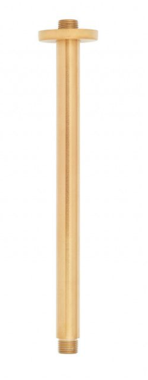 Signature Hardware 12" Round Ceiling-Mount Shower Arm Brushed Gold 948958